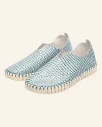 Ilse Jacobsen Slipper TULIP3031 - HELLBLAU Blau