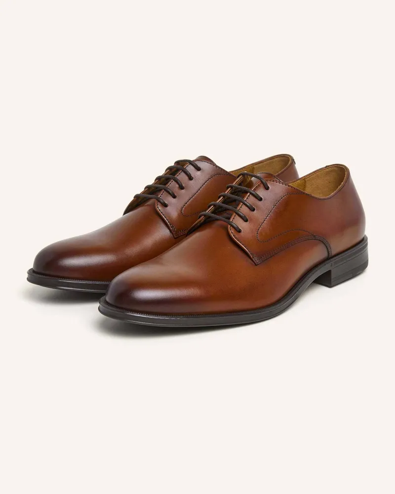 Hackett Oxford DUKE MASTER Braun