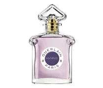 LES LÉGENDAIRES INSOLENCE