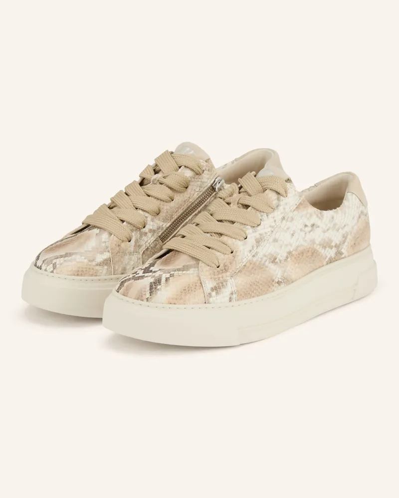 paul green Sneaker beige Creme