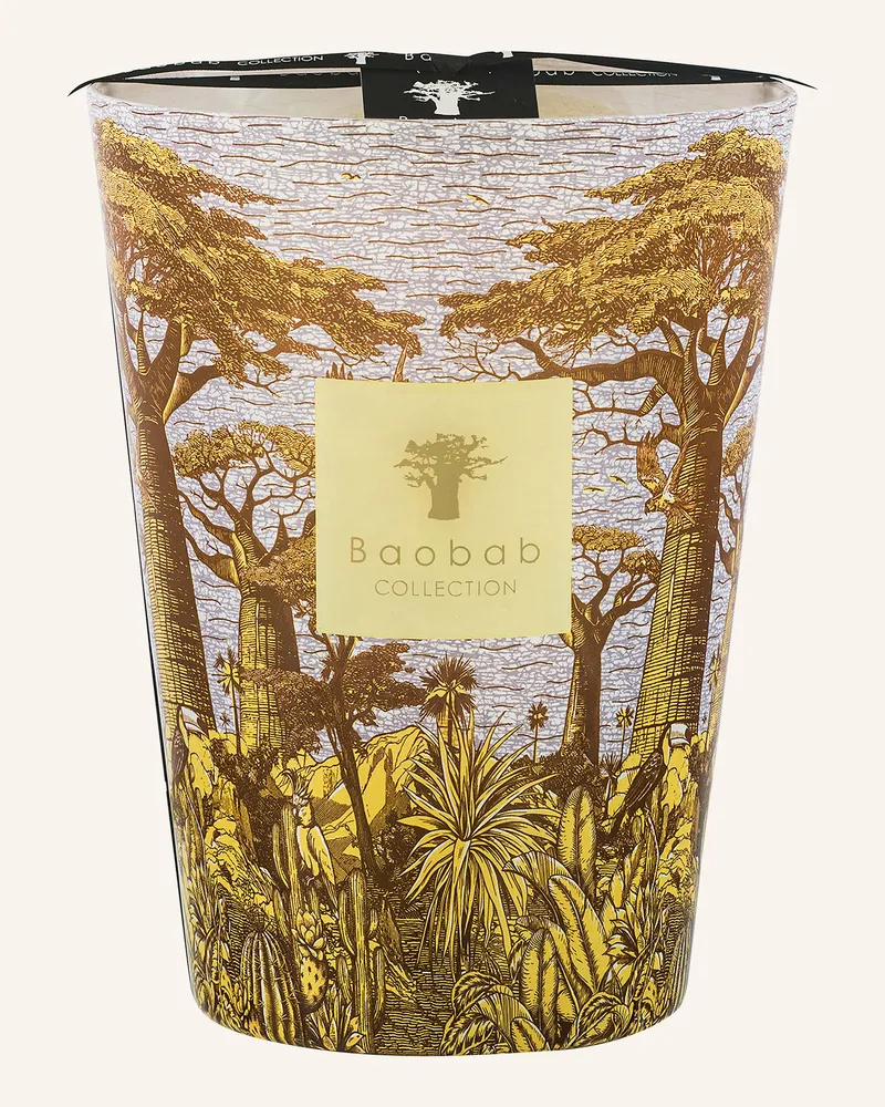 Baobab Collection Duftkerze Sacred Trees Cocody gelb Gelb