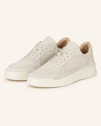 paul Sneaker - HELLGRAU Beige