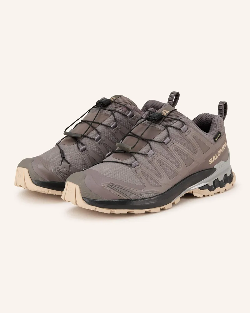Salomon Wanderschuhe XA PRO 3D V9 GTX Taupe