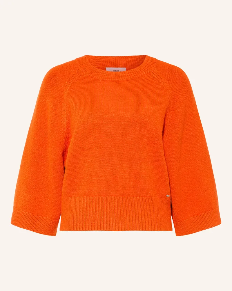 cinque Pullover Cicape orange Dunkelorange