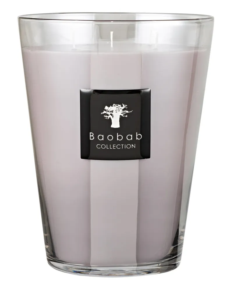 Baobab Collection Duftkerze WHITE RHINO Grau