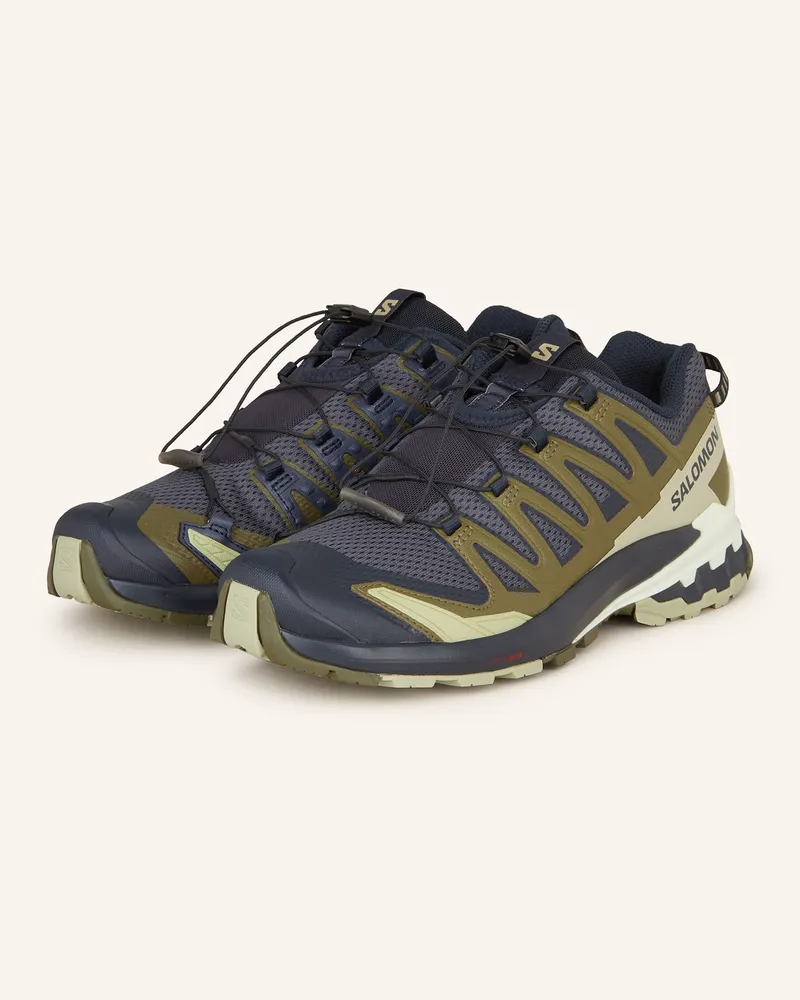 Salomon Wanderschuhe Xa Pro 3d v9 grau Dunkelblau