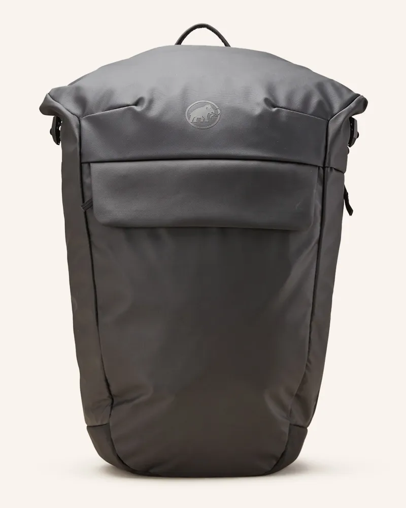 Mammut Rucksack Seon Courier 20 L Mit Laptop-Fach schwarz Schwarz