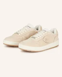 Philippe Model Sneaker NICE - HELLBRAUN/ CREME Beige