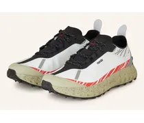 Trailrunning-Schuhe 001 RZ