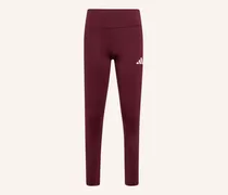 Leggings rot