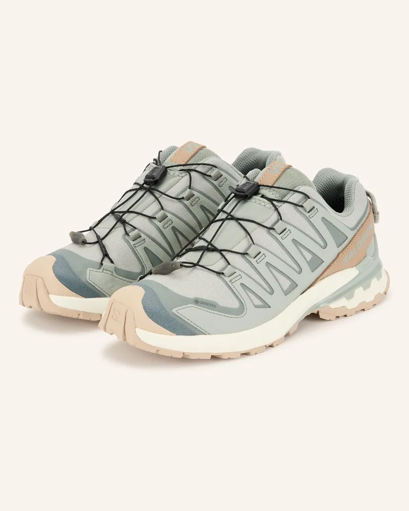 Salomon Trailrunning-Schuhe  Xa Pro 3d v9 Gtx Lifelong beige Beige