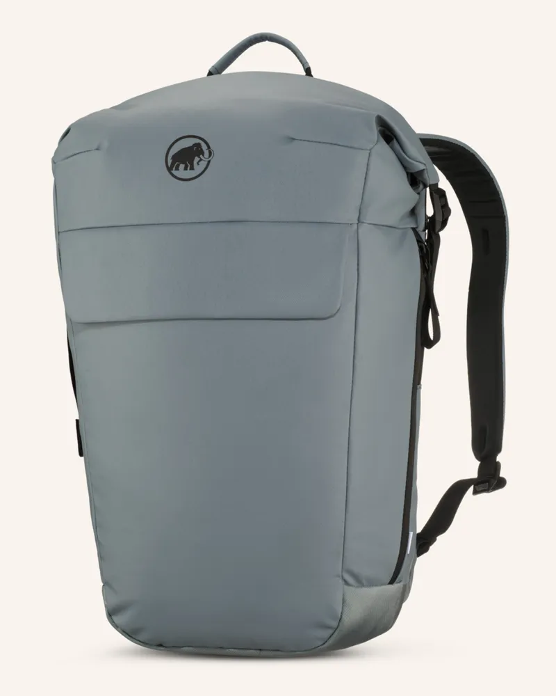 Mammut Rucksack Seon Courier 20 L Mit Laptop-Fach grau Grau