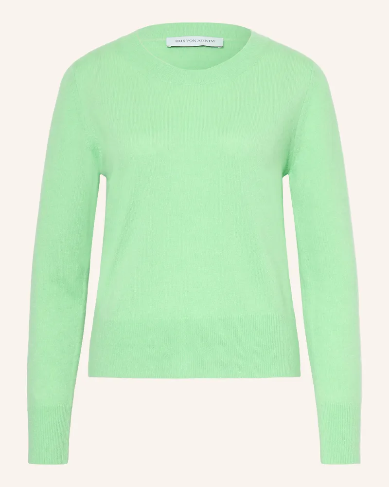 Iris von Arnim Pullover Neris Mit Cashmere gruen Mint