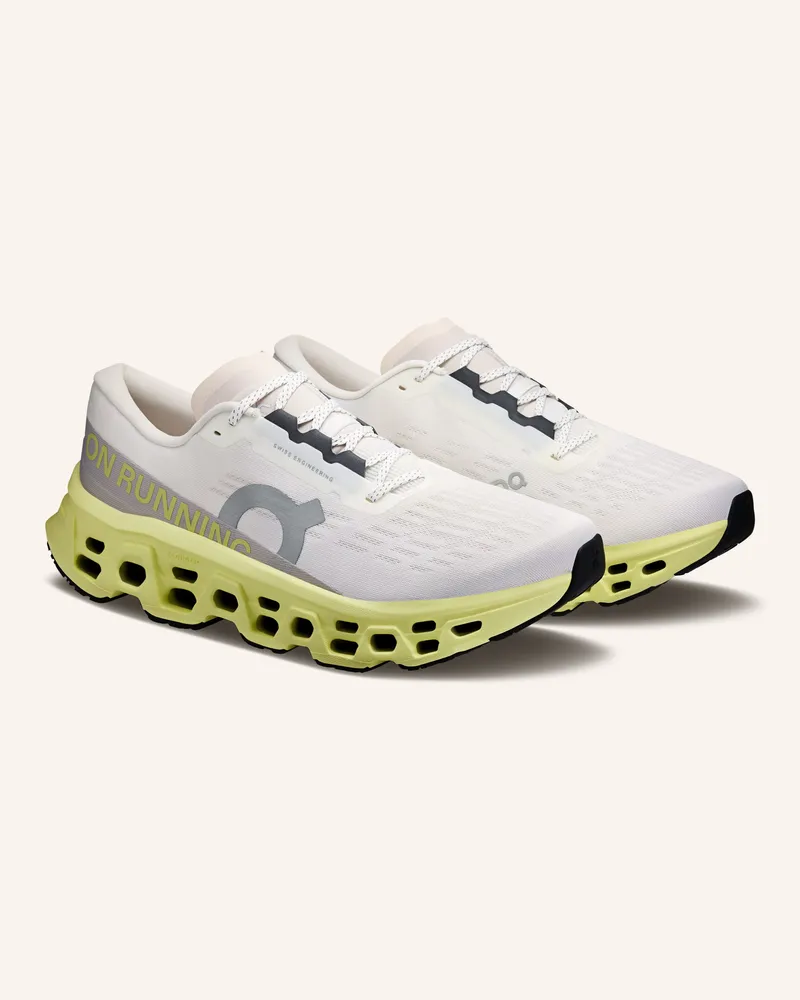 ON Laufschuhe Cloudmonster 3 grau Hellgrau