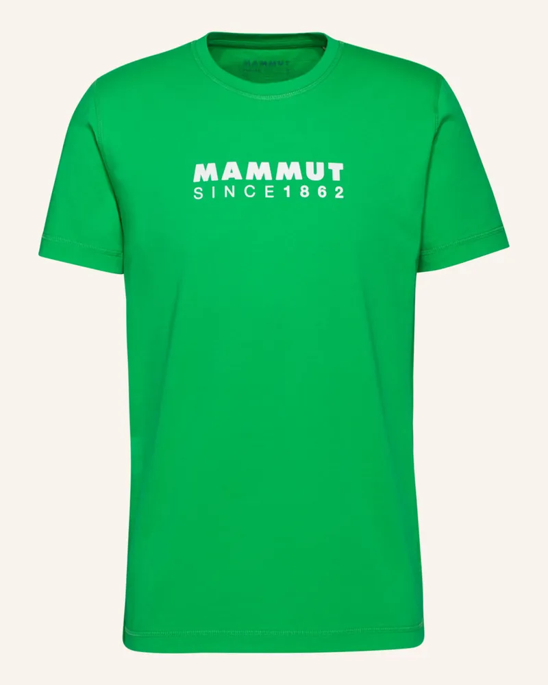 Mammut T-Shirt Core Logo gruen Grün