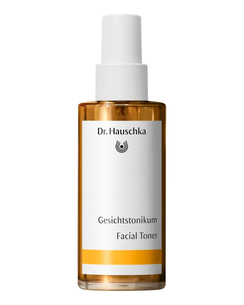 Dr. Hauschka Gesichtstonikum Gesichtswasser 100 ml 