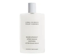 L'EAU D'ISSEY POUR HOMME 100 ml, 530 € / 1 l