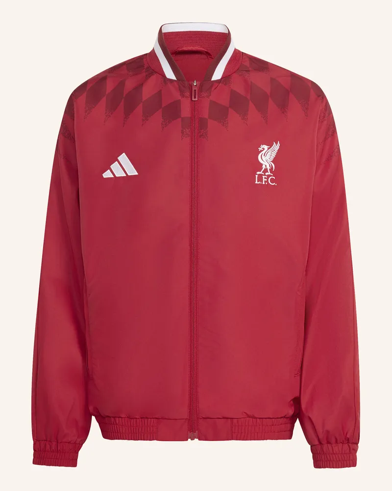 adidas Fc Liverpool Stadium Kids Trainingsjacke rot Rot