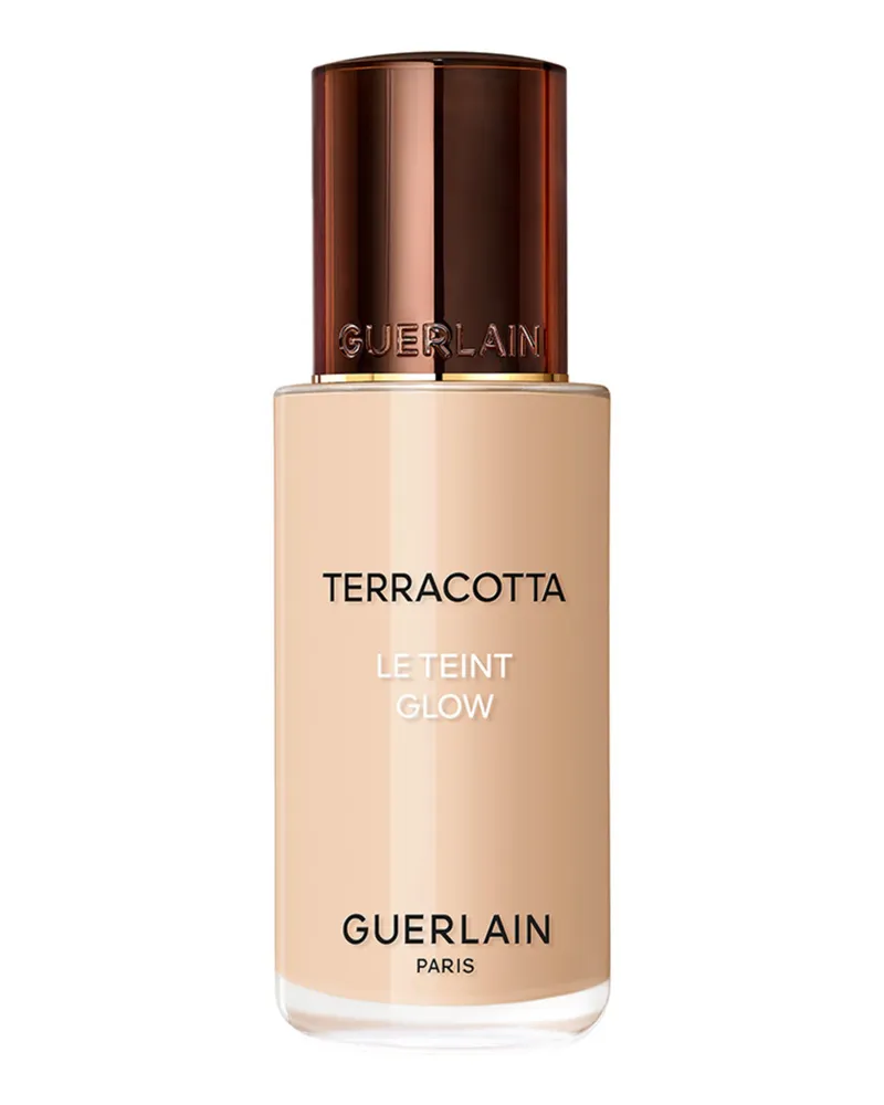 Guerlain Terracotta Le Teint Glow Foundation 2n