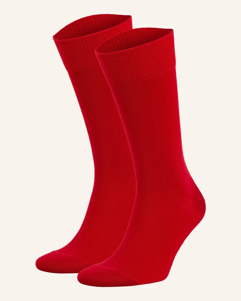 Falke 2er-Pack Strümpfe HAPPY Dunkelrot