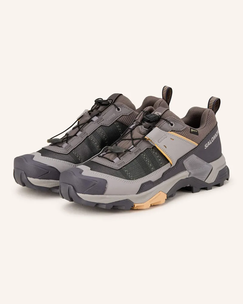 Salomon Wanderschuhe X ULTRA 5 GTX Taupe