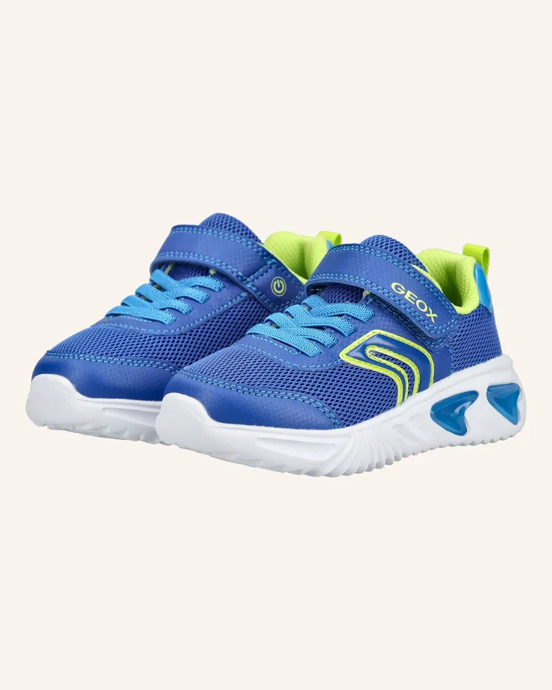 Geox Sneaker Assister blau Blau