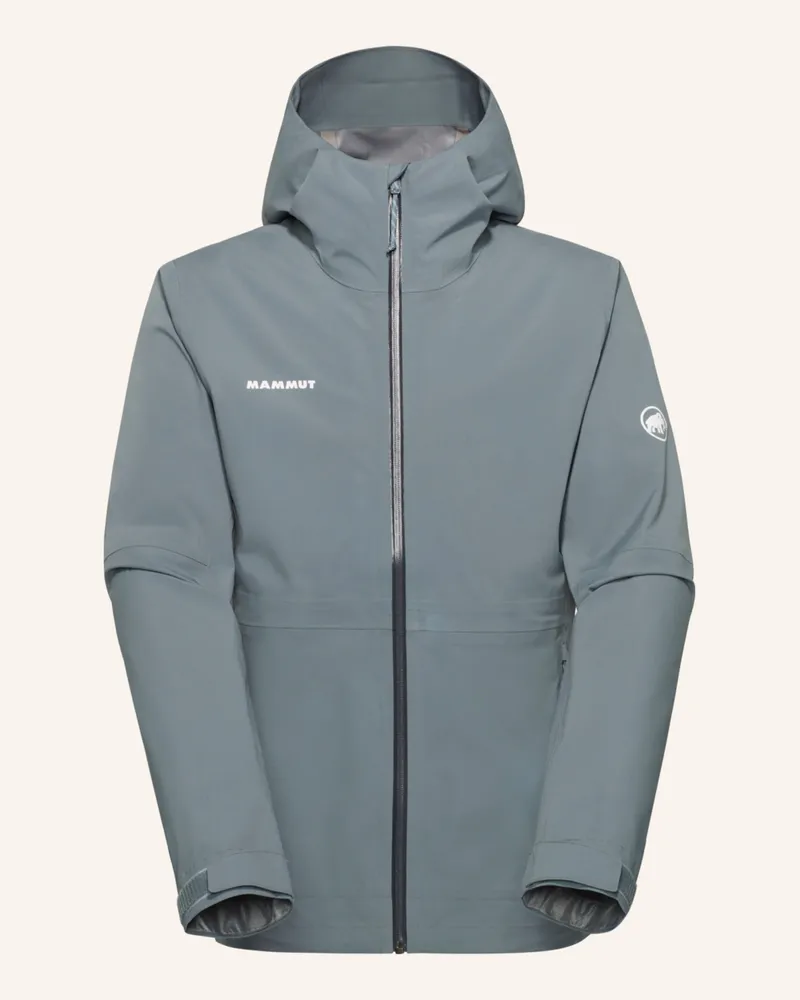 Mammut Hardshell-Jacke Linard Guide Hs grau Grau