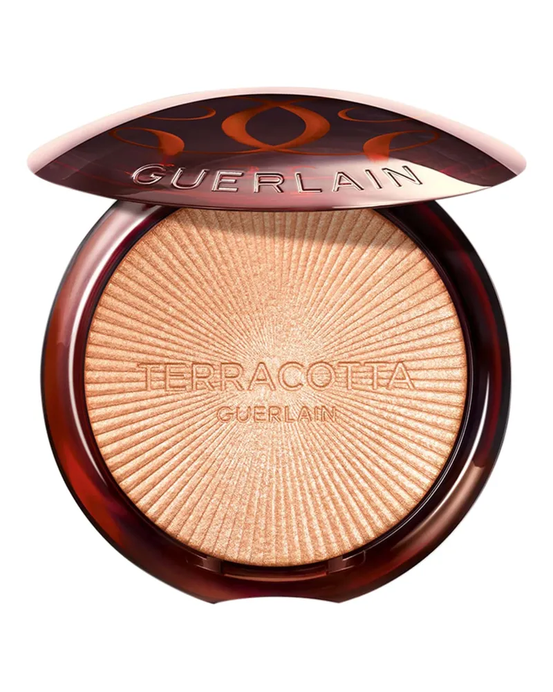 Guerlain TERRACOTTA LUMINIZER 8000 € / 1 kg 