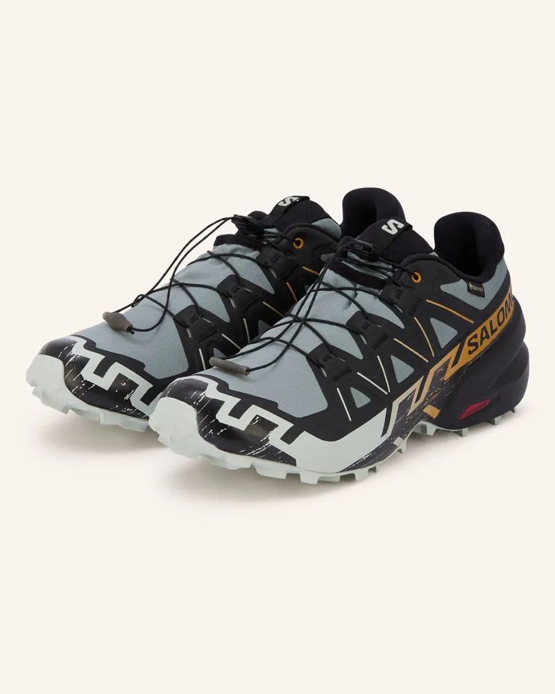 Salomon Trailrunning-Schuhe Speedcross 6 Gtx blau Grau