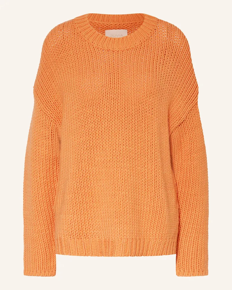 Juvia Pullover Dion orange Orange