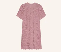 Spitzenkleid Darlene rosa