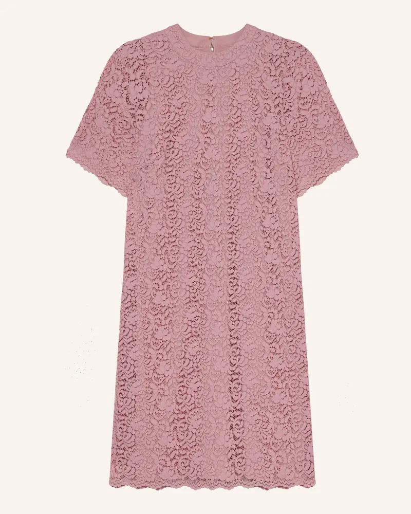 JOOP! Spitzenkleid Darlene rosa Rosa