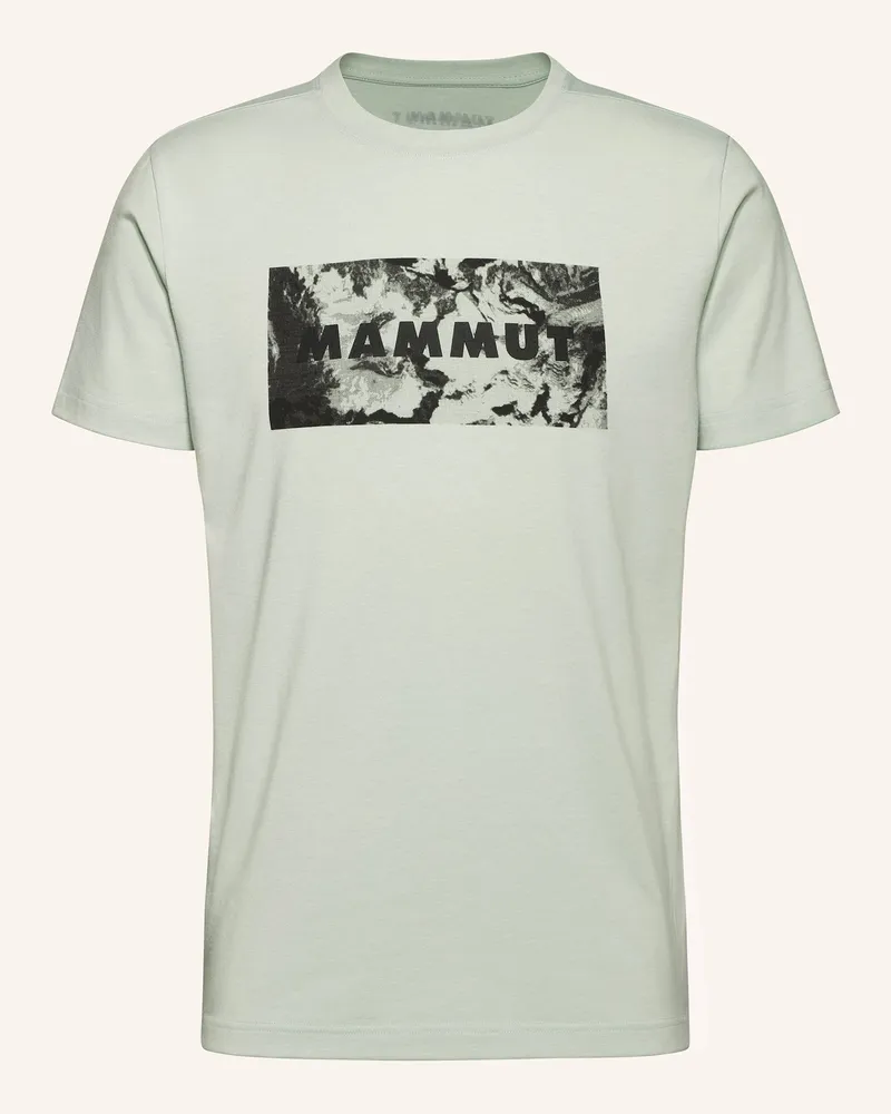 Mammut T-Shirt Trovat grau Hellgrün