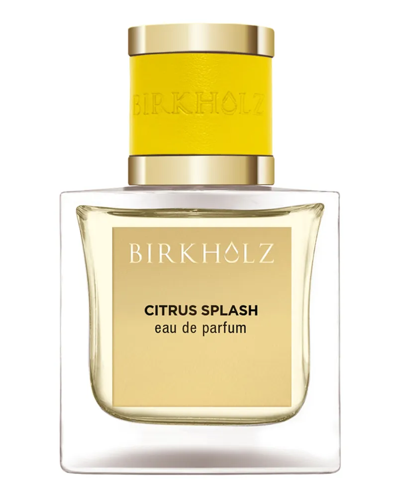 Birkholz Citrus Splash Eau de Parfum 100 ml 