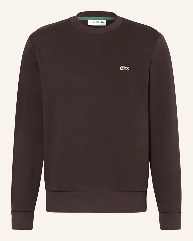 Lacoste Sweatshirt braun Dunkelbraun