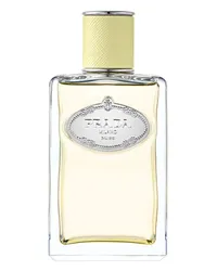 Prada INFUSION DE GINGEMBRE 100 ml, 1600 € / 1 l 