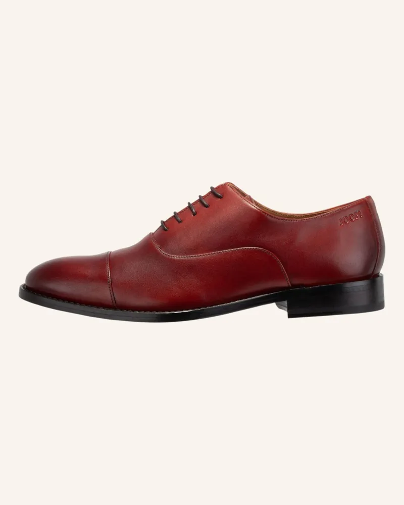 JOOP! Lace Up Lusso Santinos braun Cognac
