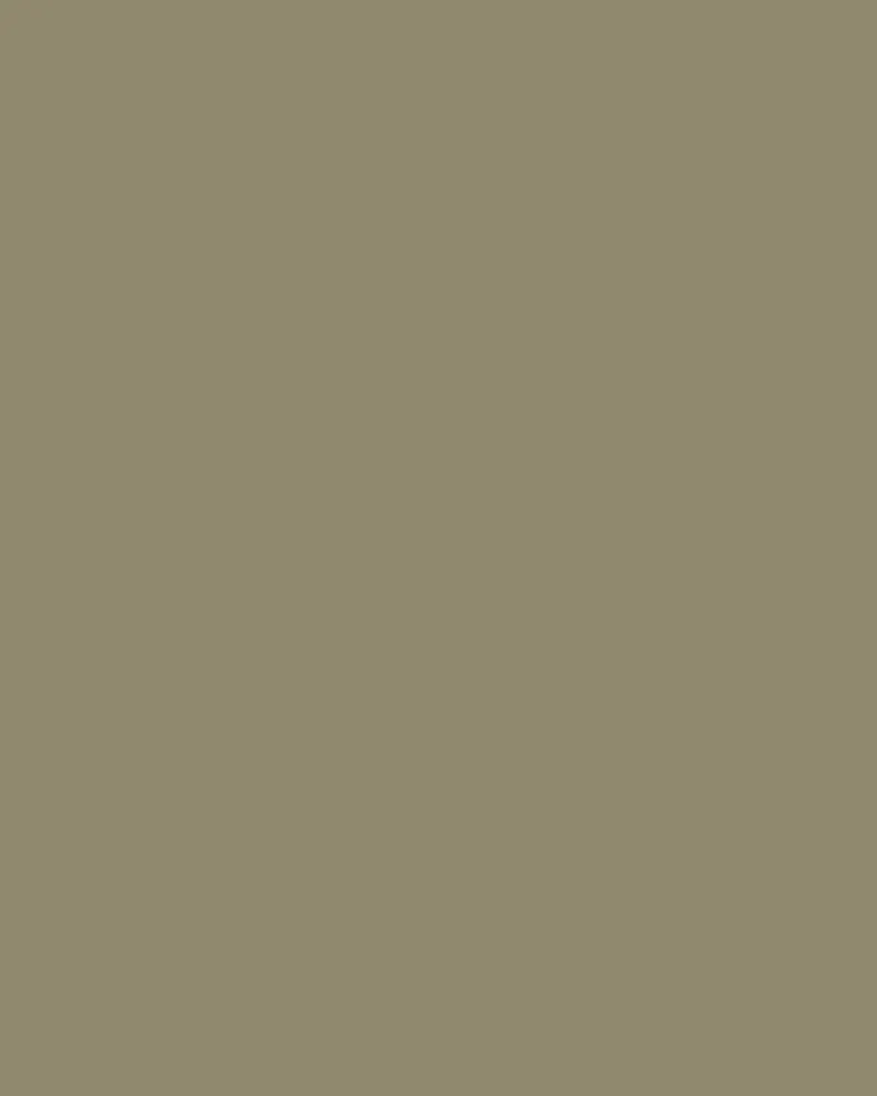 Hackett Chino Chino Sanderson braun Braun