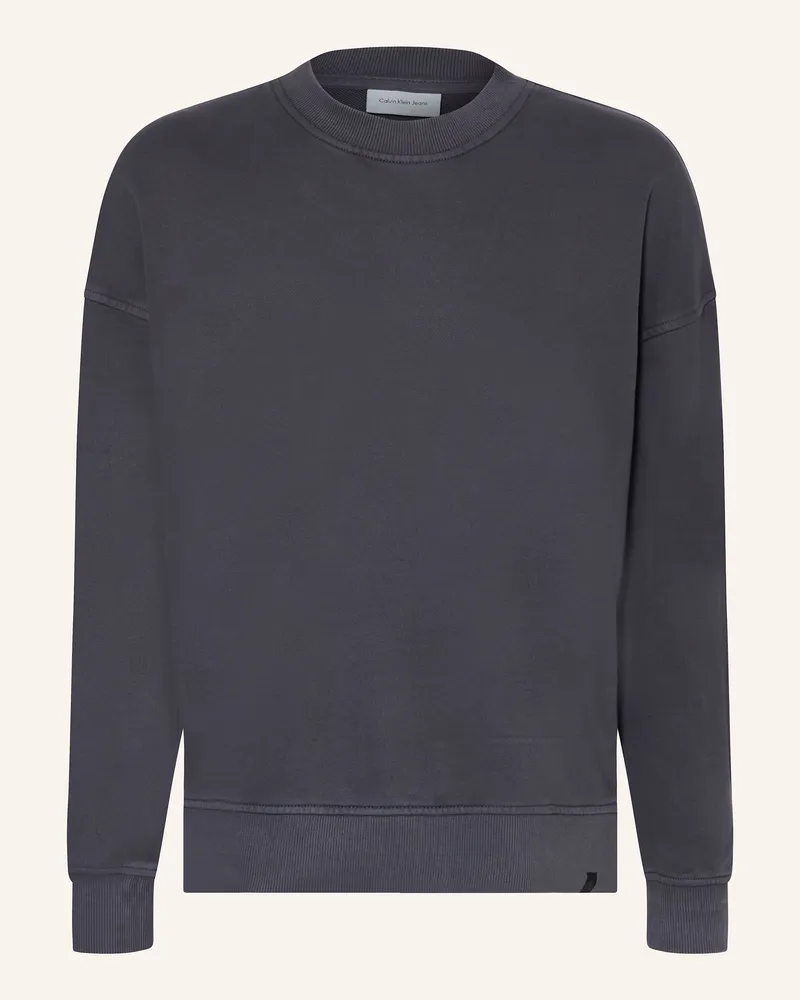 Calvin Klein Sweatshirt Grau