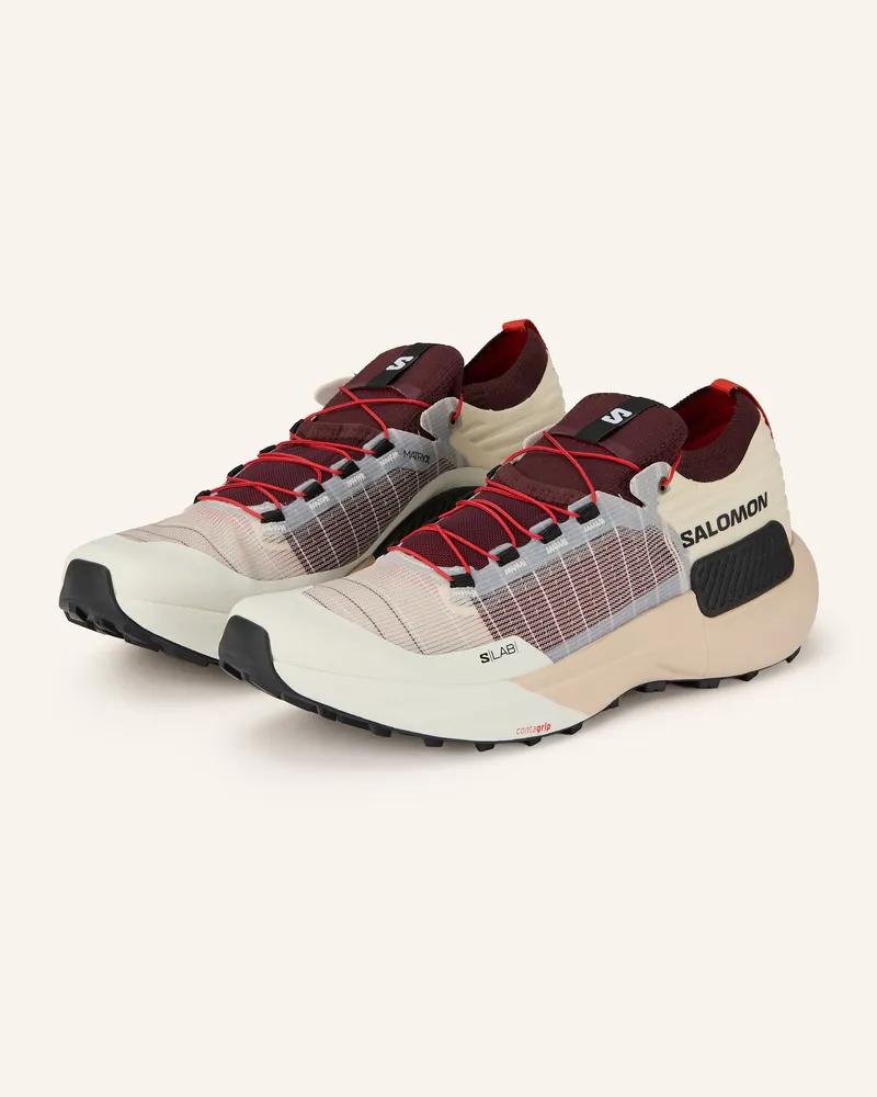 Salomon Trailrunning-Schuhe GENESIS GTX Ecru