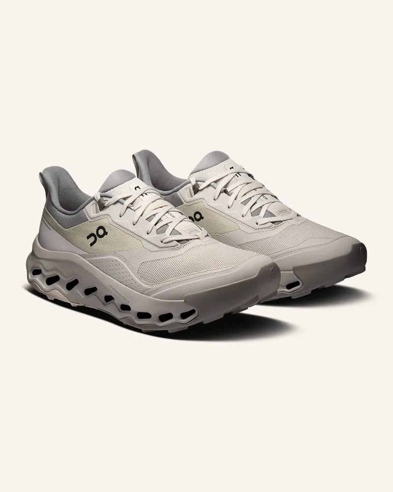 ON Wanderschuhe Cloudhorizon 2 grau Grau