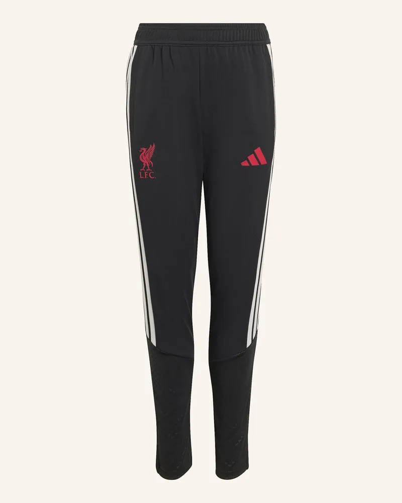 adidas Fc Liverpool 26/27 Tiro Kids Trainingshose schwarz Schwarz