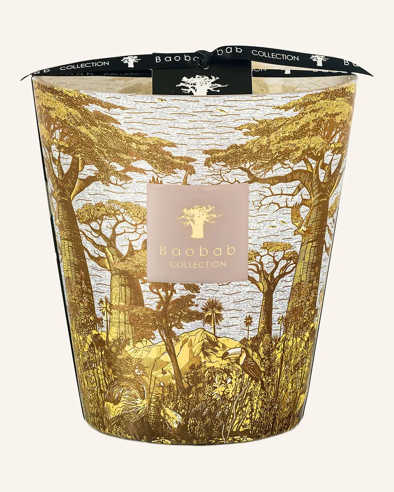 Baobab Collection Duftkerze Sacred Trees Bounkani gelb Gelb
