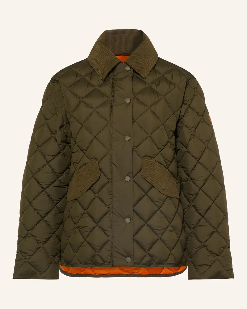 Save The Duck Steppjacke Jodie gruen Dunkelgrün