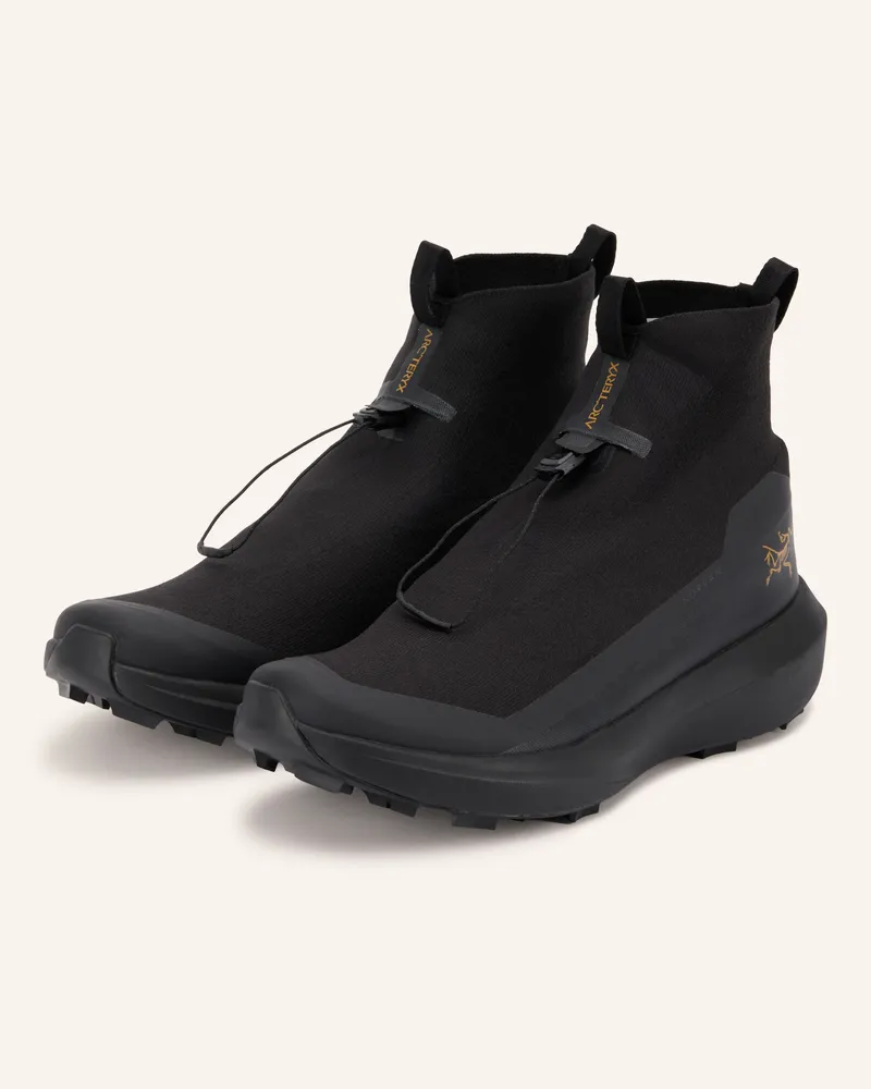 Arc'teryx Arc'teryx Trailrunning-Schuhe Norvan 4 Nivalis Gtx schwarz Schwarz