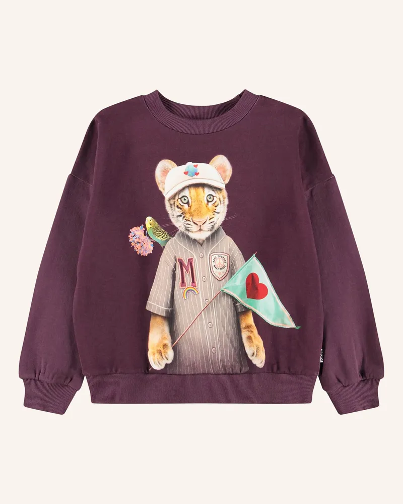 Molo Sweatshirt rot Dunkelrot