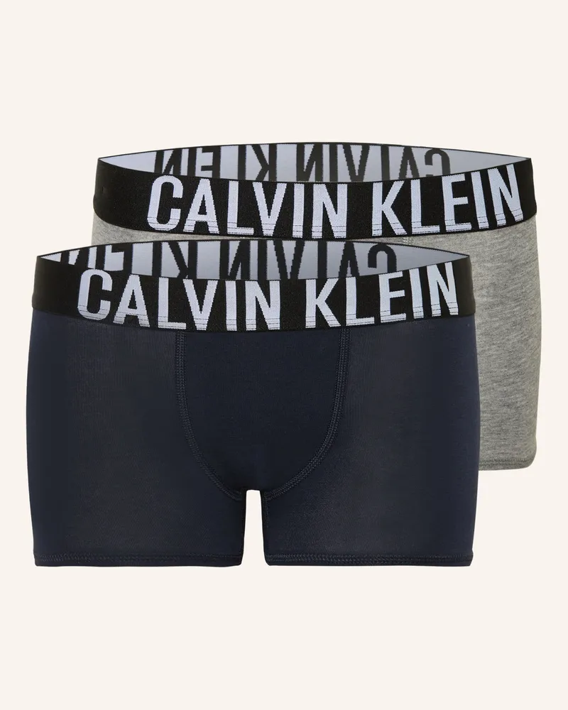 Calvin Klein 2er-Pack Boxershorts Intense Power grau Grau