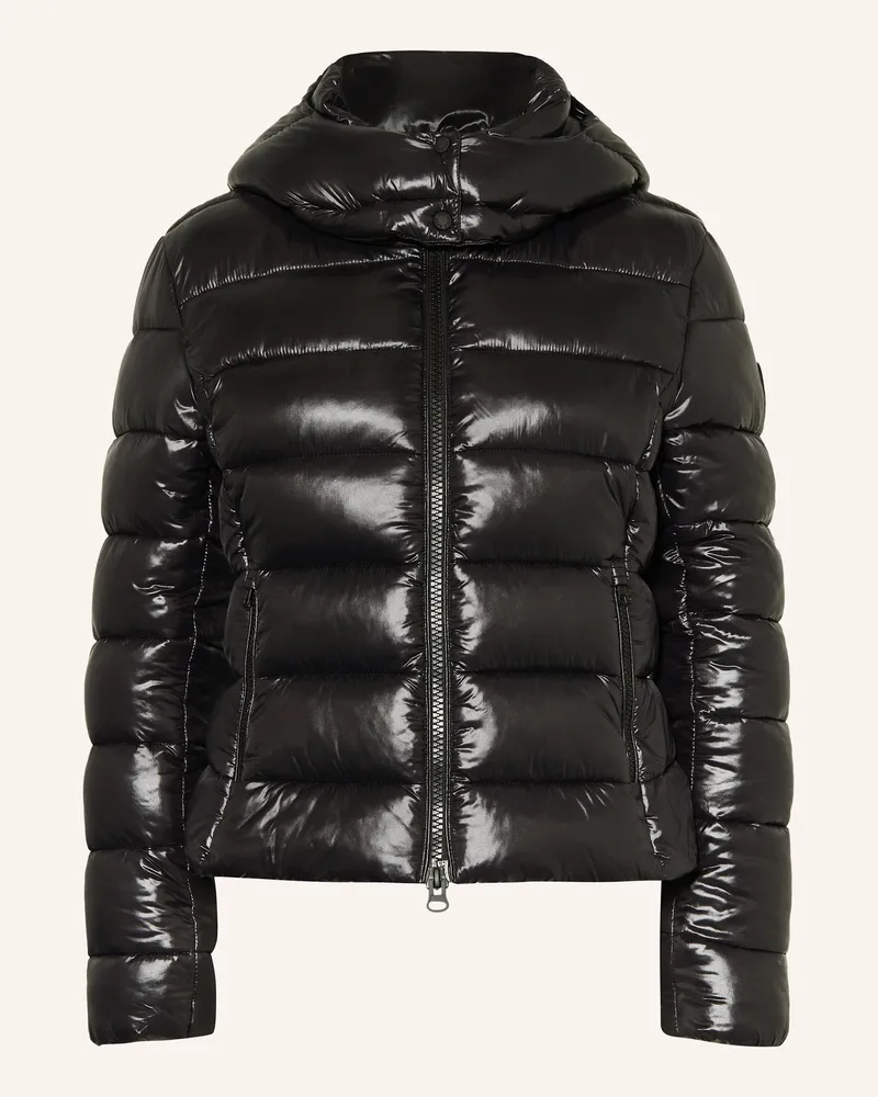 Save The Duck Steppjacke COSMARY mit abnehmbarer Kapuze Schwarz