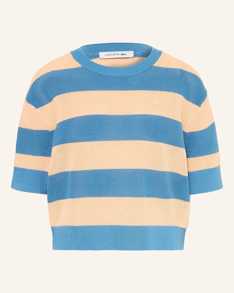 Lacoste Strickshirt blau Blau