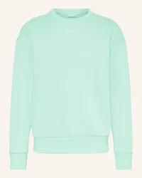 Calvin Klein Sweatshirt Gruen